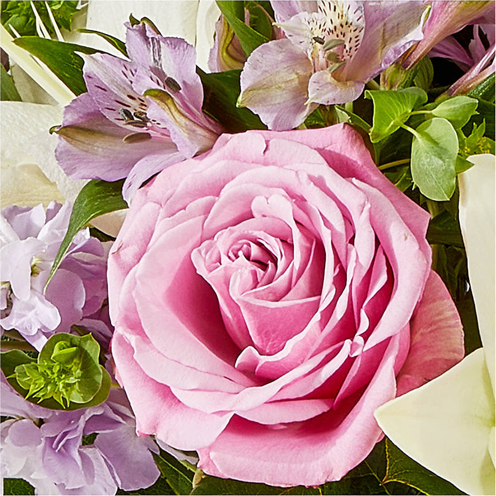 Daydreamer Bouquet –  Black Orchid Florist, Santa Ana CA