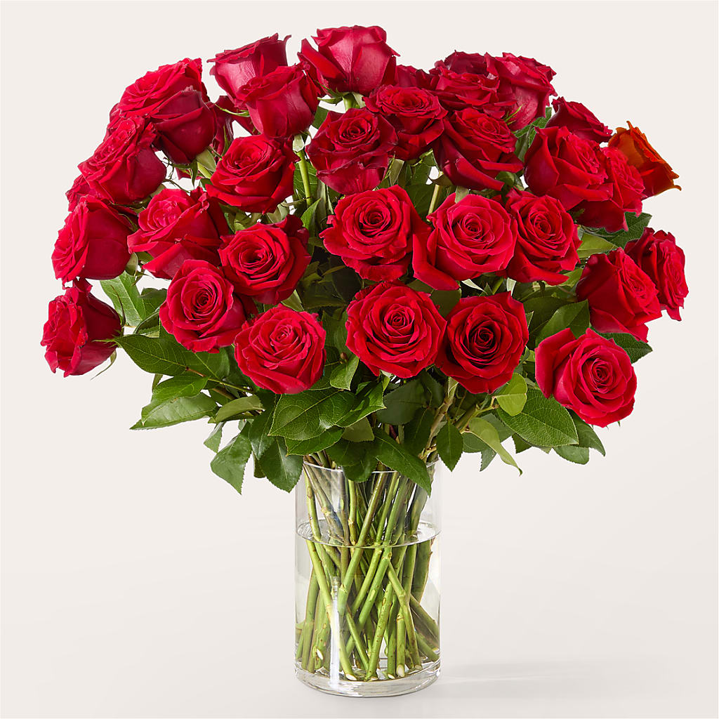 The One Red Rose Bouquet –  Black Orchid Florist, Santa Ana CA