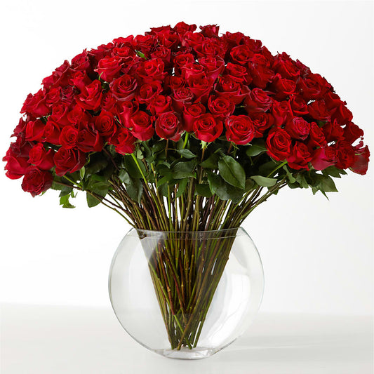 The Idealist –  Black Orchid Florist, Santa Ana CA