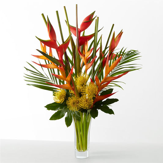 The Drama –  Black Orchid Florist, Santa Ana CA
