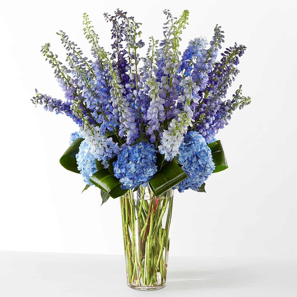 The Editorial –  Black Orchid Florist, Santa Ana CA