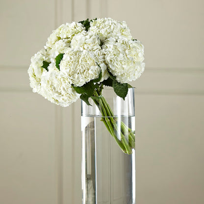 White Hydrangea Hand-Tied Bouquet –  Black Orchid Florist, Santa Ana CA